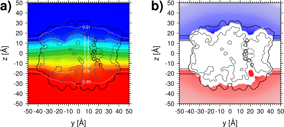 membrane potential distribution across the ammonium transporter Amt-1